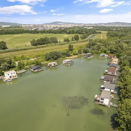 The Root Your Charming Floating