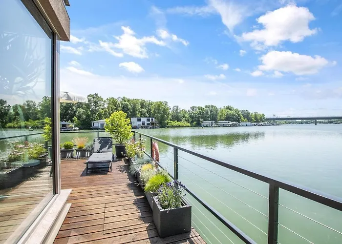 The Root Your Charming Floating